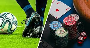 Discover the Exciting World of Betting with Betwinner 14