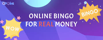 What Bingo Sites Are Not Understanding the Differences